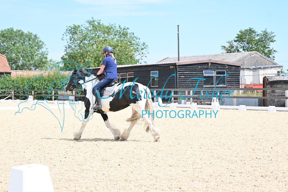 DSC_9818-Copy