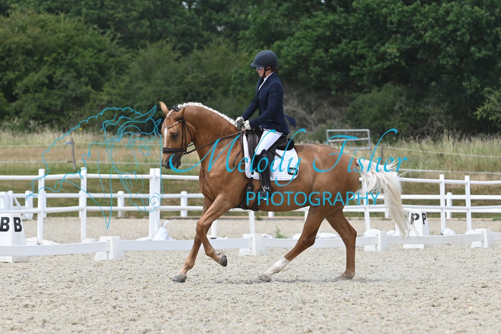 MFP_8197