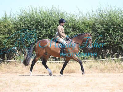 MFP_9579