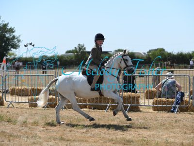 MFP_9585