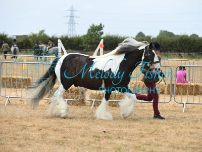 MFP_9389
