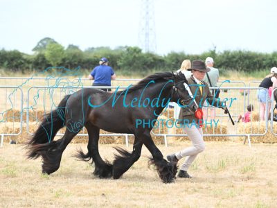 MFP_9395