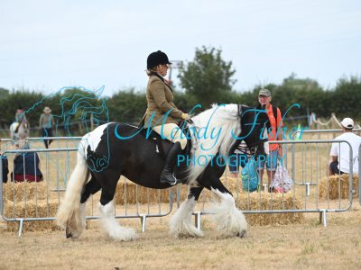 MFP_9293