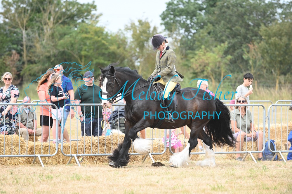MFP_9322
