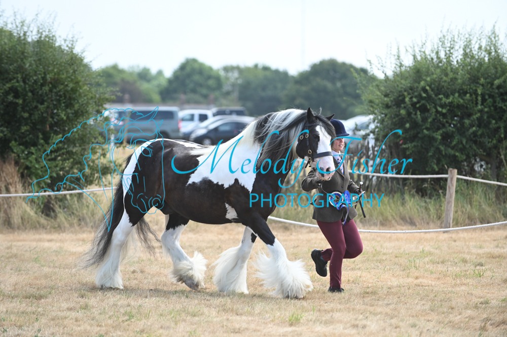MFP_9439