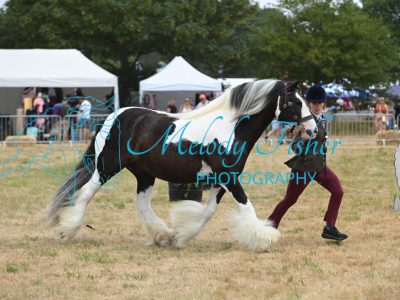MFP_9257