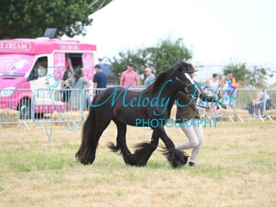 MFP_9226