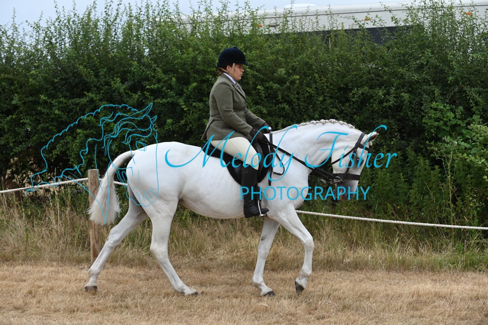 MFP_8931