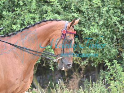 MFP_8855