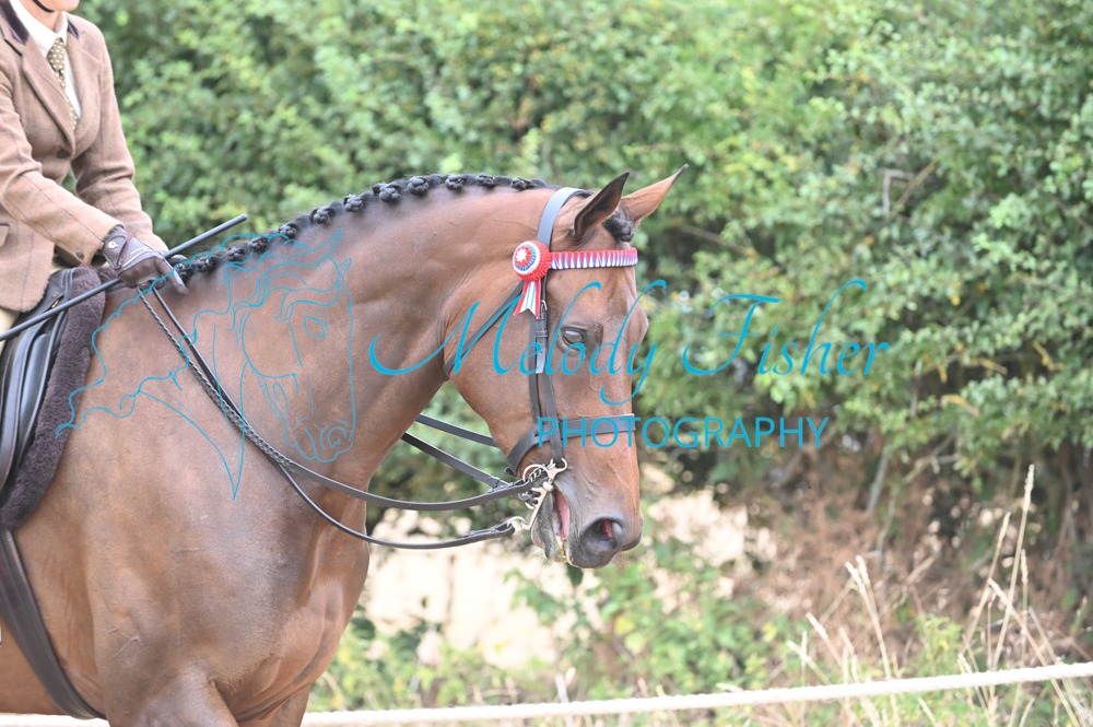 MFP_8857