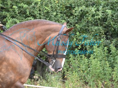 MFP_8936