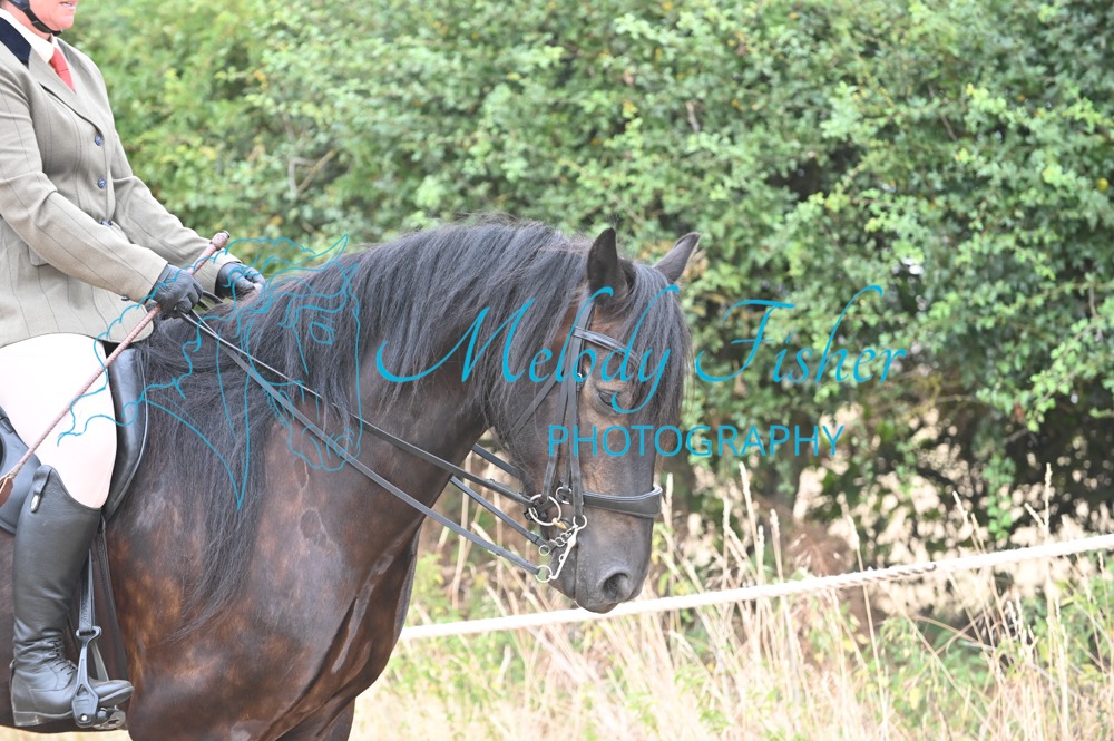 MFP_8941