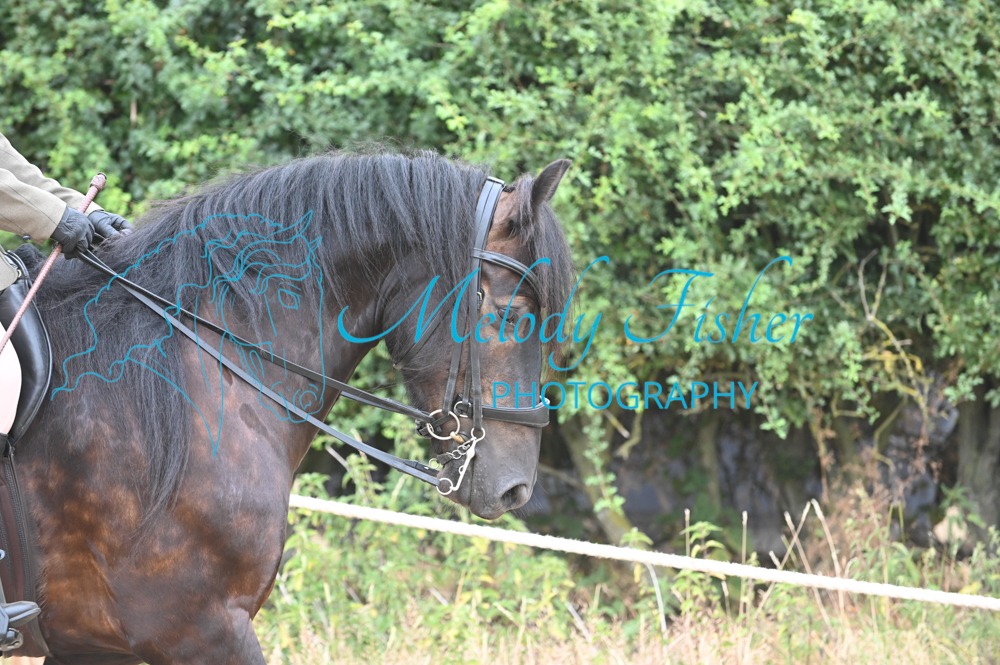 MFP_8942