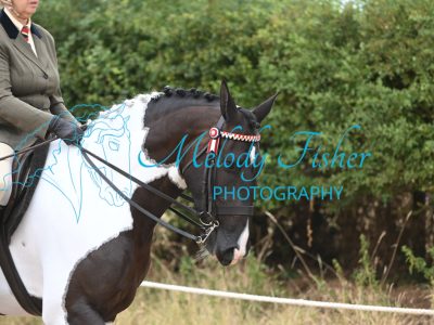 MFP_8944