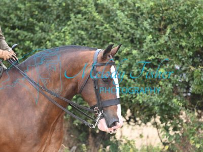 MFP_8947