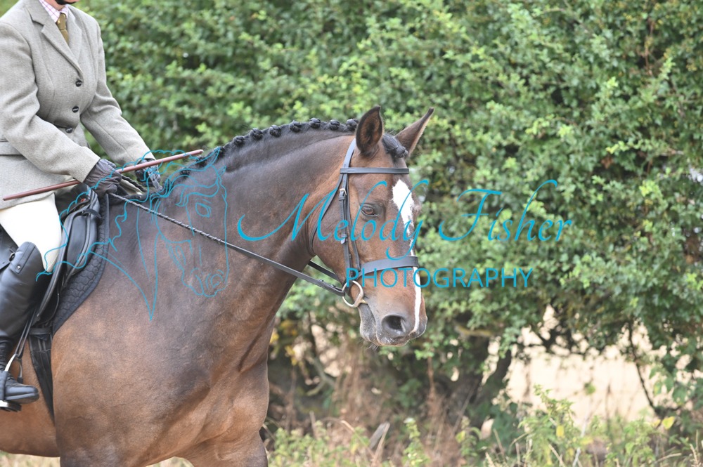 MFP_8950