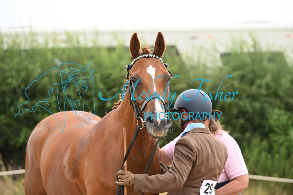 MFP_8721