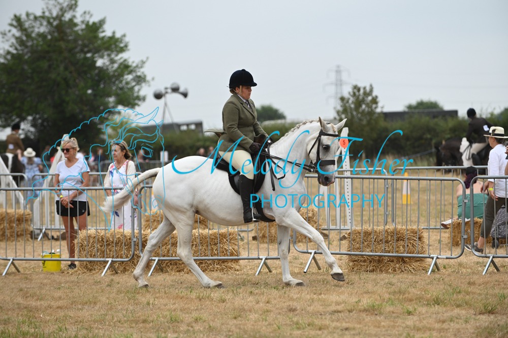 MFP_8981