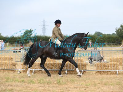 MFP_8509