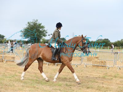 MFP_8513