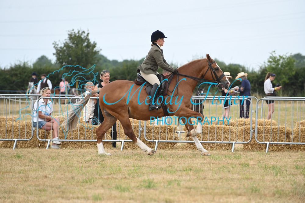 MFP_8596