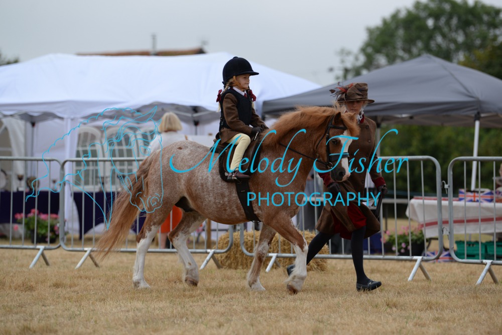 ORP_7250