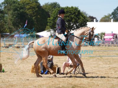 DSC05228