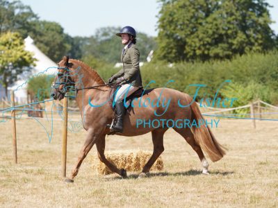 DSC05196