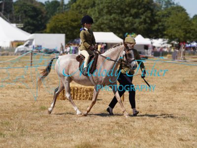 DSC05206