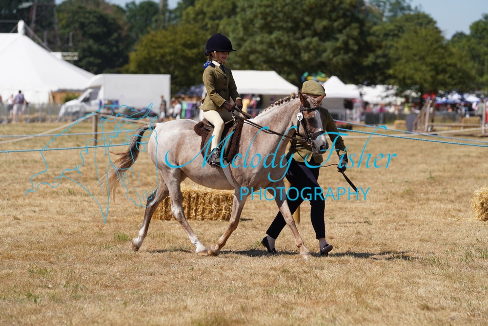 DSC05206