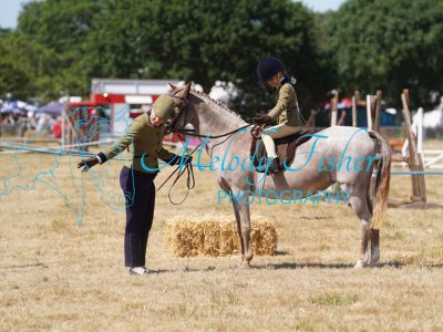 DSC05208