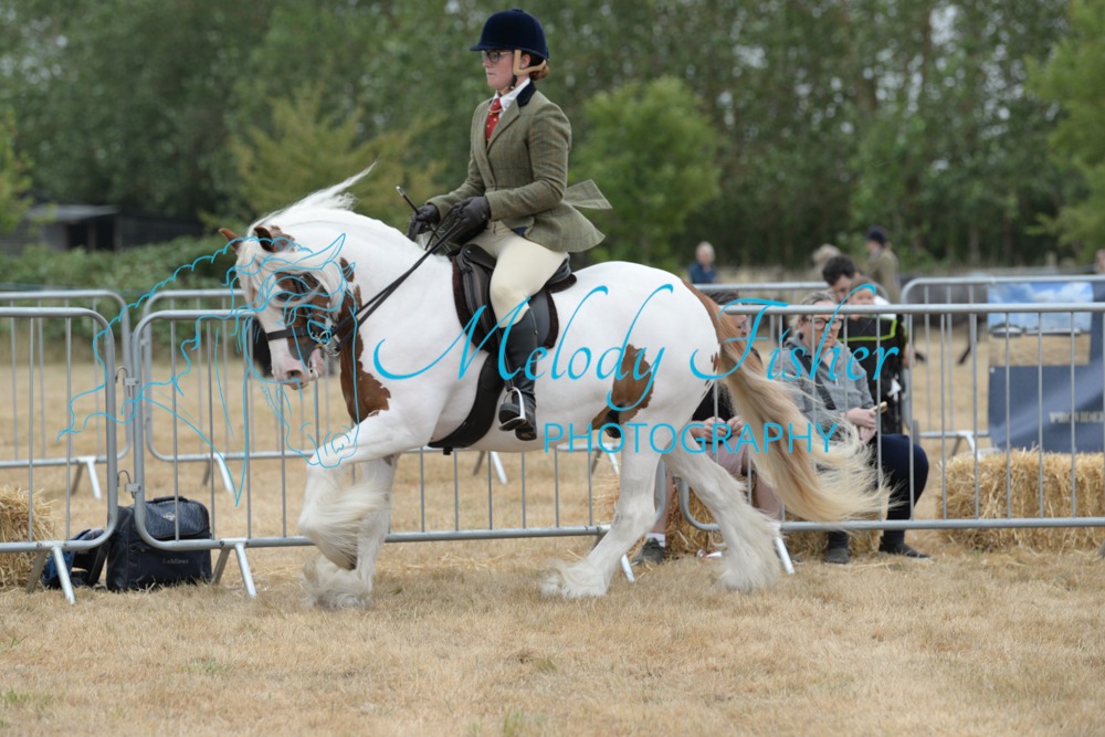 ORP_8243