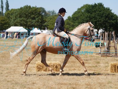 DSC05096