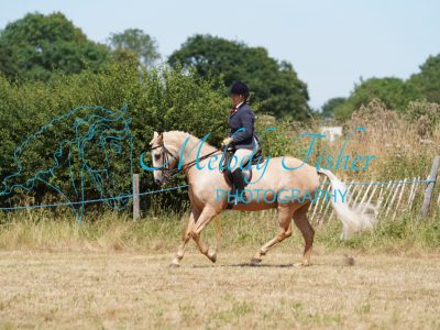 DSC05141