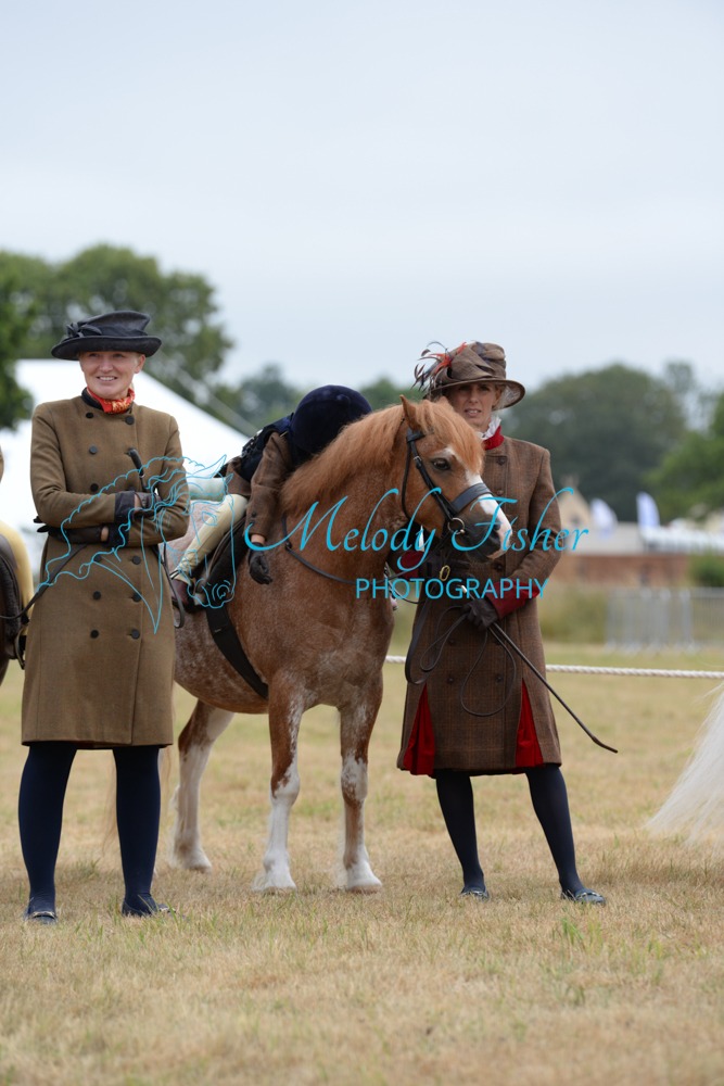 ORP_7557
