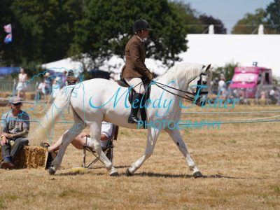 DSC05037