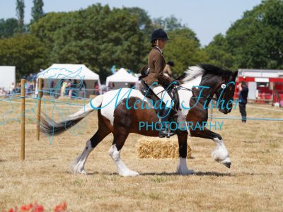 DSC05045