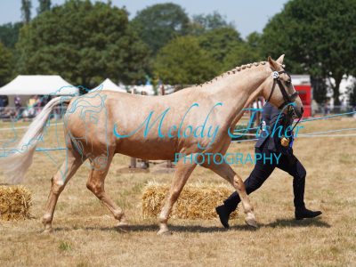 DSC04986