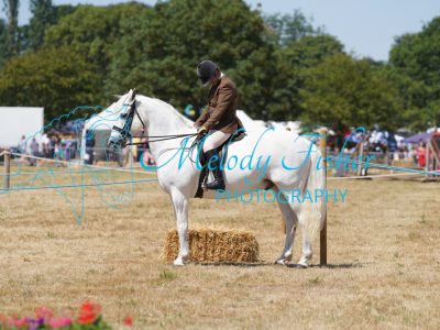 DSC05064