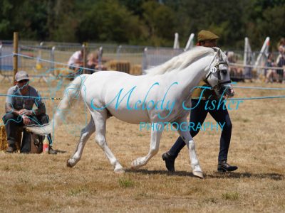 DSC05008