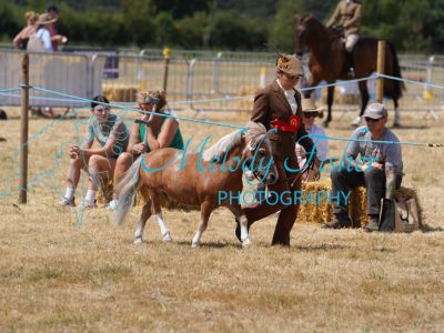 DSC05022