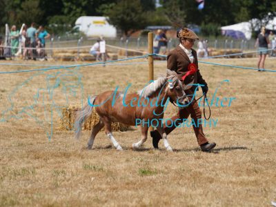 DSC05025