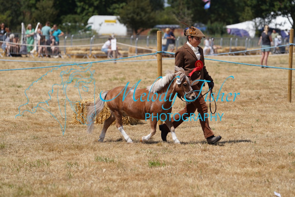DSC05025