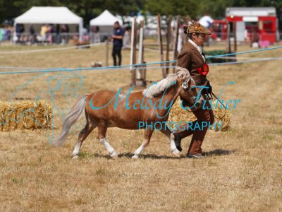 DSC05030