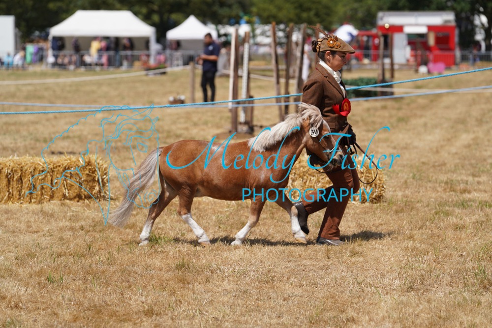 DSC05030