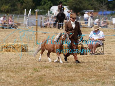 DSC04969