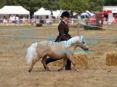 DSC04846