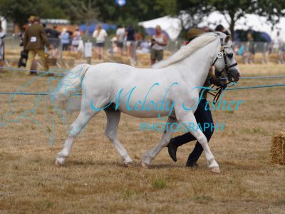 DSC04848
