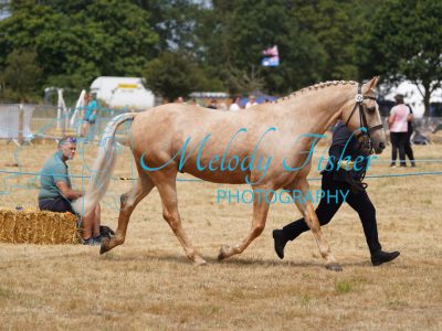 DSC04864
