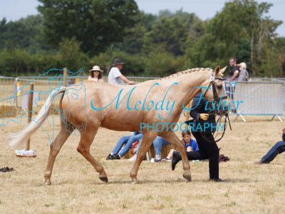 DSC04869
